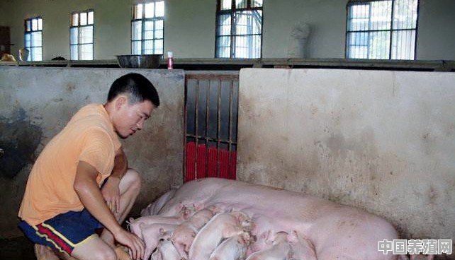 母猪便秘的这个问题，咋改善啊 - 中国养殖网