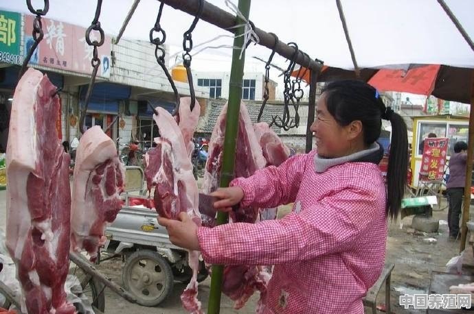 下月“人造肉”将上市，到底啥是人造肉？能缓解“猪肉荒”吗 - 中国养殖网