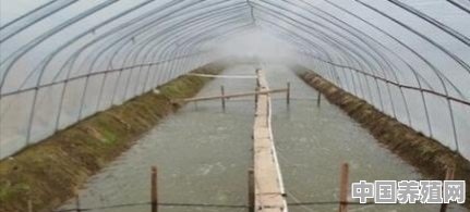 水产养殖中怎样培虫 - 中国养殖网