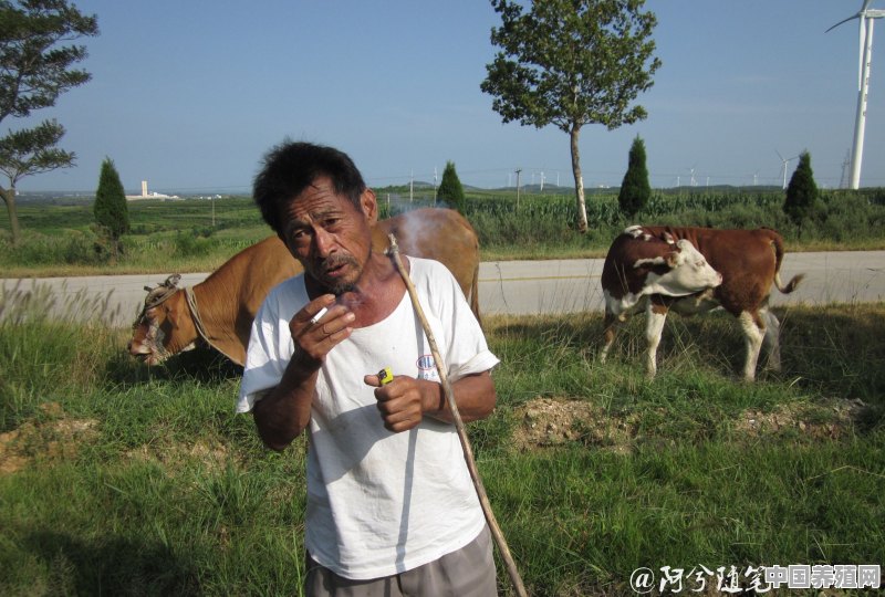 农村俗话，家有万贯，带毛的不算，有道理吗 - 中国养殖网