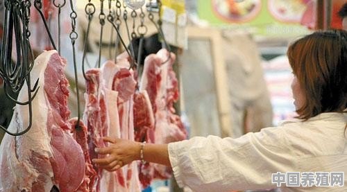 受非洲猪瘟疫情的影响，西南地区猪肉买卖何时能解禁 - 中国养殖网