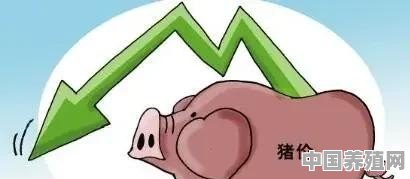 猪价连跌三周，回落至“二级预警”区间！生猪价格还会再涨吗 - 中国养殖网