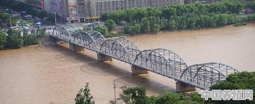 黄河上一共有多少座大桥 - 中国养殖网
