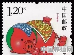 哪些童书里有对“猪”的刻画 - 中国养殖网