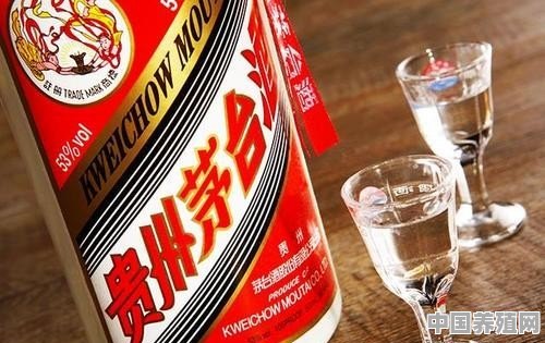 贵州茅台酒怎么加盟 - 中国养殖网