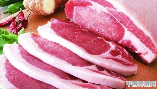 饲料猪吃了对身体有害吗 - 中国养殖网