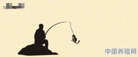 钓鱼的步骤与方法 - 中国养殖网