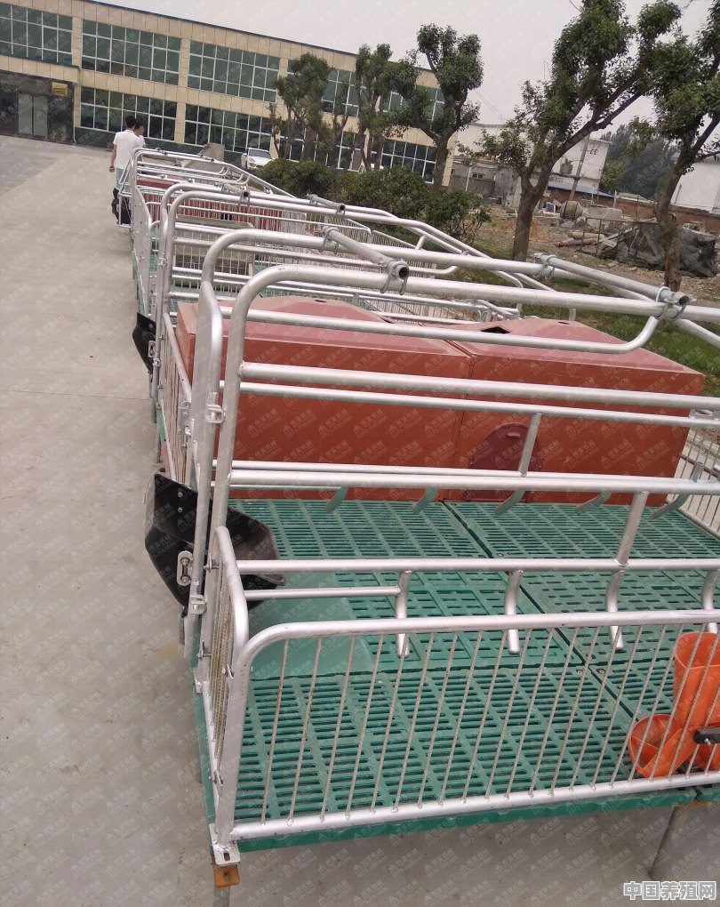 养猪用的料槽 - 中国养殖网