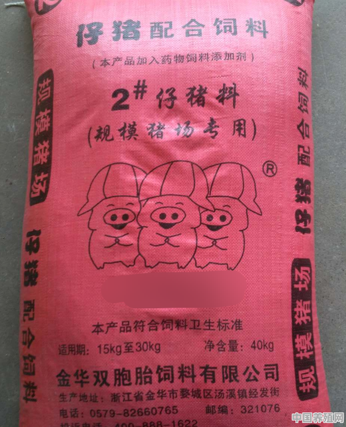 养土母猪怎么养 - 中国养殖网