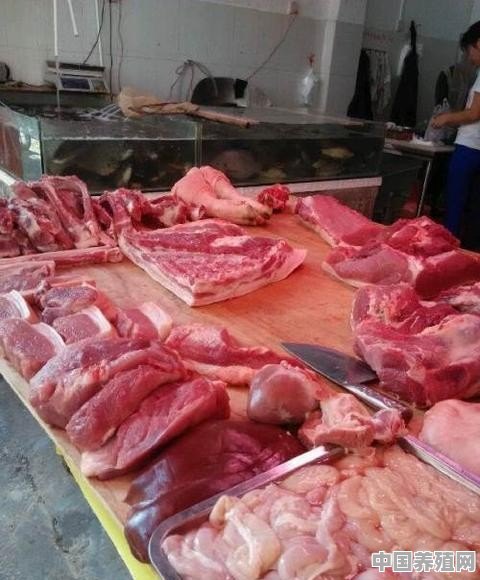 150头猪养殖利润 - 中国养殖网