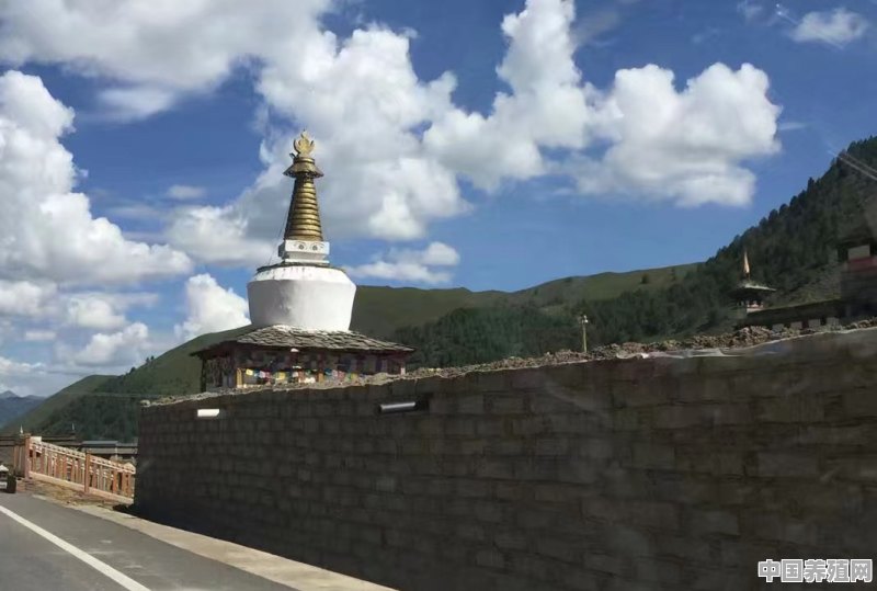 我计划从山东临沂出发，自驾去西藏，能否推荐一下路线和攻略 - 中国养殖网