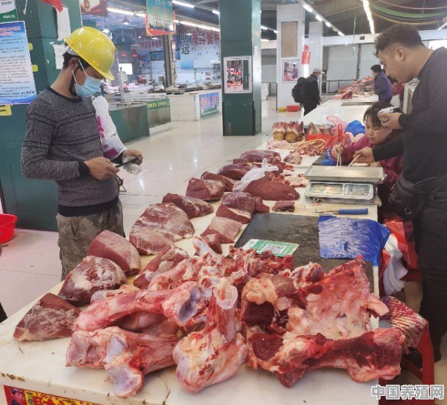 一号土猪肉产地 - 中国养殖网