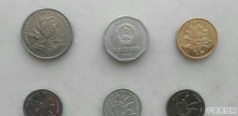 硬币在你家乡怎么说 - 中国养殖网