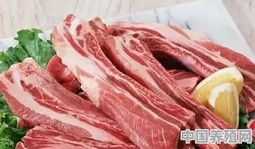 鸡豚养殖方法视频 - 中国养殖网