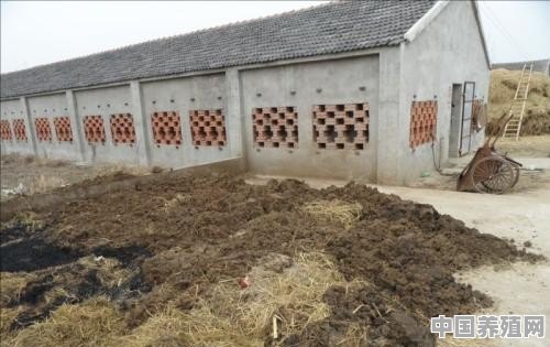 养羊清粪设备 - 中国养殖网