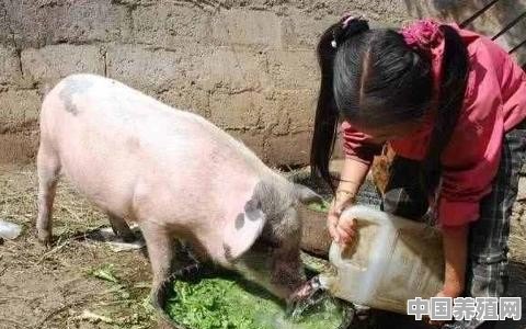 在农村，有杀年猪的习惯，怎么很少杀年牛的？是牛肉不好吃吗 - 中国养殖网