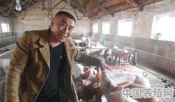 生猪养殖怎么发展起来的 - 中国养殖网