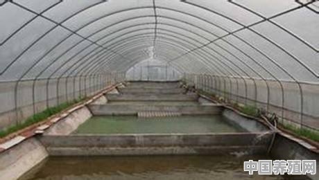 怎样帮助鱼苗冬季安全越冬 - 中国养殖网