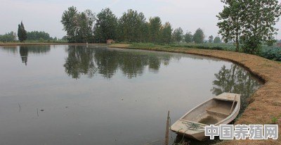 水产养殖鱼塘水瘦水清快速肥水用什么方法有 - 中国养殖网