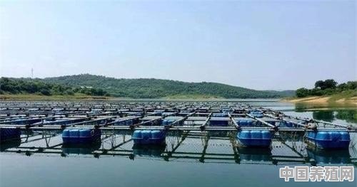 花鲢鱼养殖最好的季节 - 中国养殖网