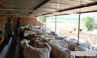 生产经营性收入指的是什么 - 中国养殖网