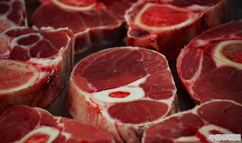 广东哪里产牛肉 - 中国养殖网
