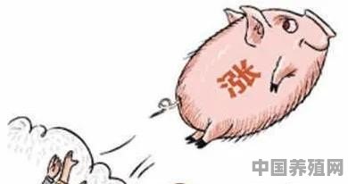 衡阳猪养殖设备价格查询 - 中国养殖网