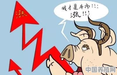 今后很长一段时间，生猪价格都会在高位运行，你认为生猪价格能回到以前的低水平吗 - 中国养殖网
