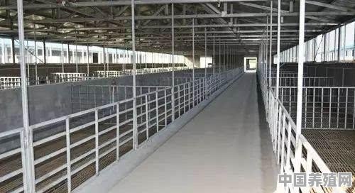 养羊的场地建设 - 中国养殖网