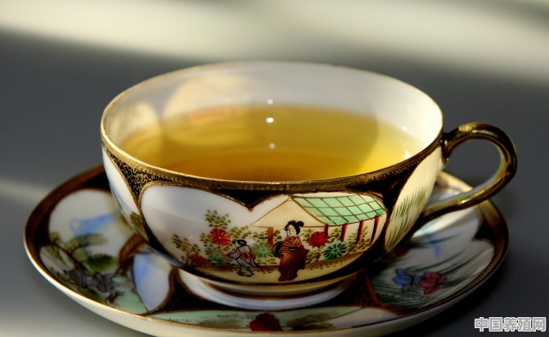 江山绿牡丹属于什么茶 - 中国养殖网