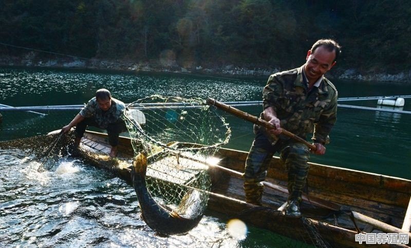 河流捕鱼最好的方法 - 中国养殖网
