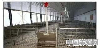 发展养殖牛的条件 - 中国养殖网