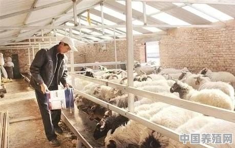 养殖场建在基本农田上了，该怎么办 - 中国养殖网