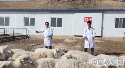 羊场加工秸秆饲料，选择铡草机、揉丝机还是多功能粉碎机 - 中国养殖网