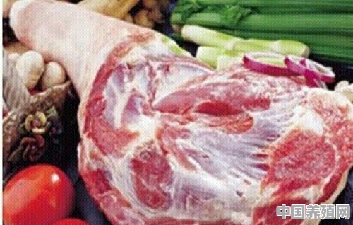 如果准许农村每户养一两头猪，肉价会这么高吗 - 中国养殖网