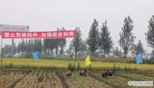 养殖肥料怎么处理 - 中国养殖网