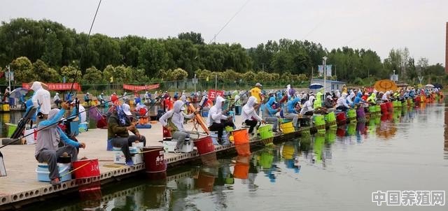 垂钓鱼塘怎样经营钓鱼人才能多起来 - 中国养殖网