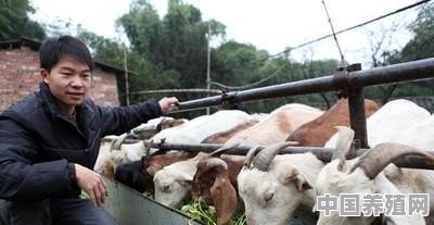 2021年一百斤的猪成本是多少 - 中国养殖网