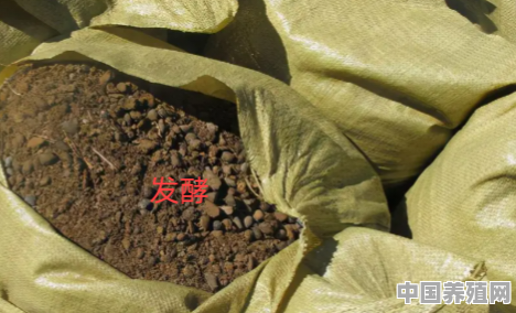 羊粪养茶花方法 - 中国养殖网