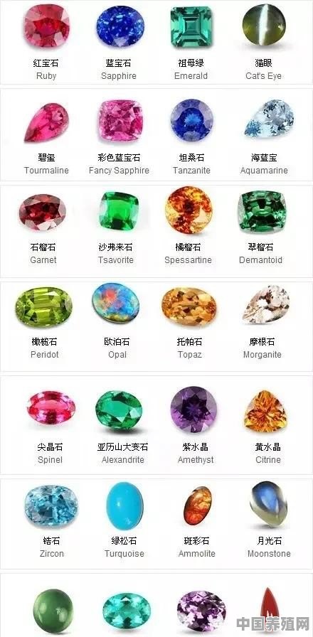 什么是珠宝玉石 - 中国养殖网