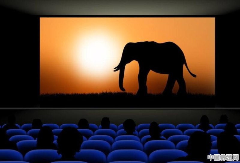 为什么现在越来越多人到电影院看电影了 - 中国养殖网