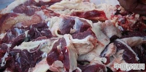 甘肃、新疆和宁夏哪个地方的羊肉最好吃 - 中国养殖网