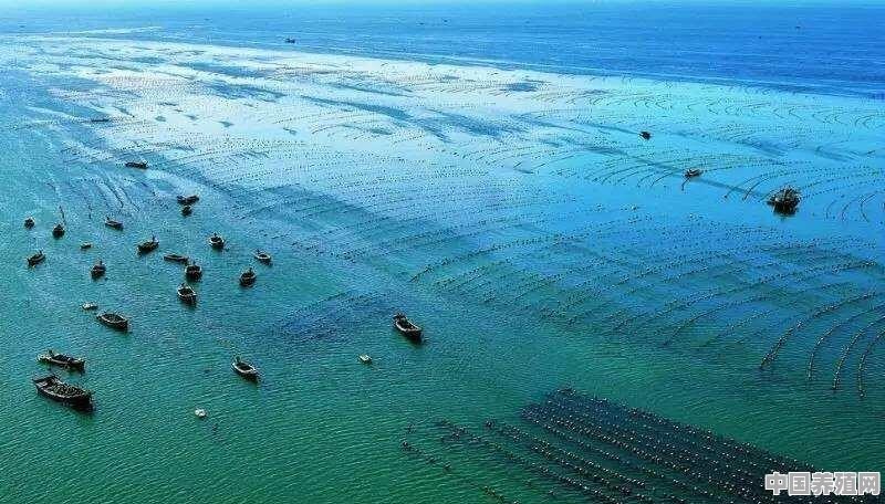 广西有多少个国家级海洋牧场 - 中国养殖网