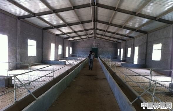 养鸡场怎么改成羊舍 - 中国养殖网