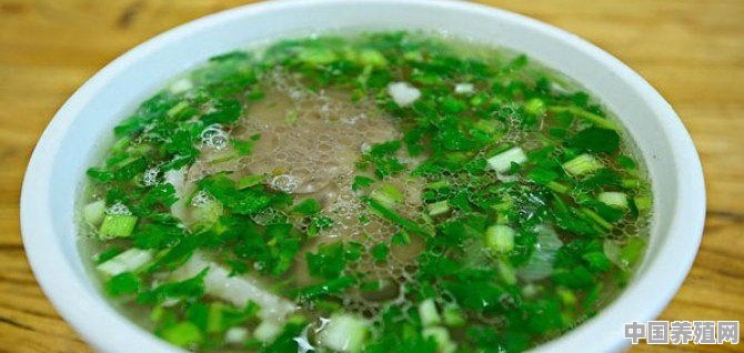 羊肉汤，牛肉汤，驴肉汤，豆腐汤，丸子汤，你最爱喝什么汤 - 中国养殖网
