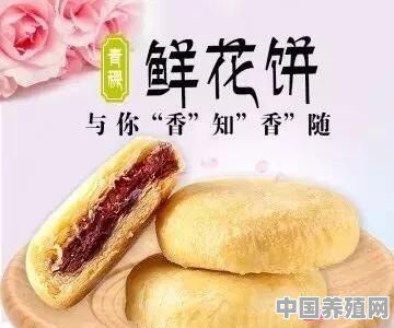 云南哪个地方的鲜花饼最正宗 - 中国养殖网