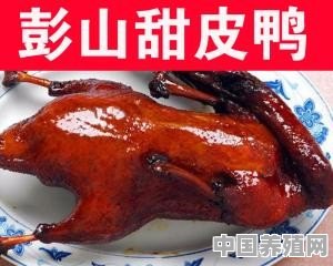 乐山养殖鸭嘴鱼 - 中国养殖网
