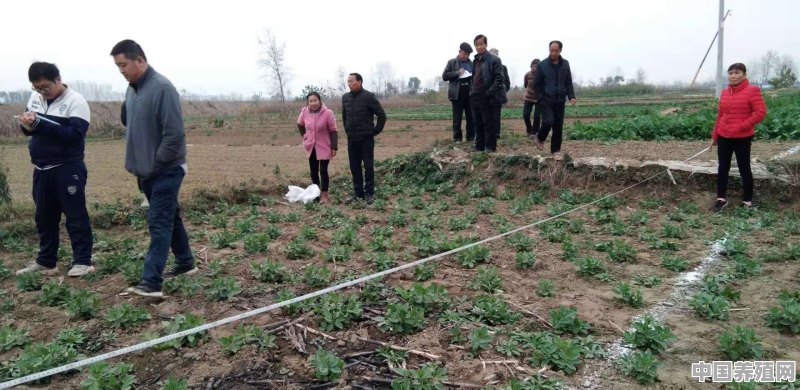 农民把自己的土地“卖”了，以后还能再分到地吗 - 中国养殖网