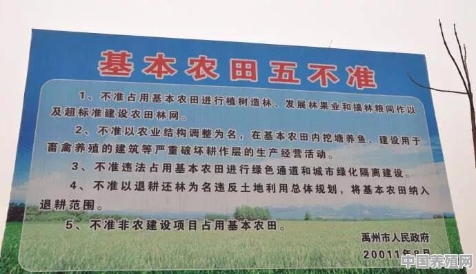 村里修路养殖羊违法吗怎么处理 - 中国养殖网
