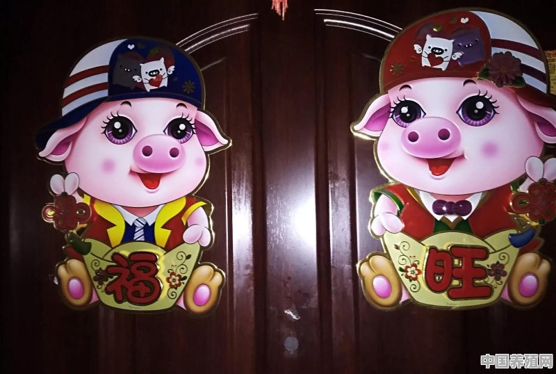 描写猪的诗有哪些 - 中国养殖网